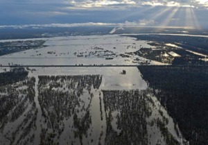 Mississippi's Batture Still Flooded