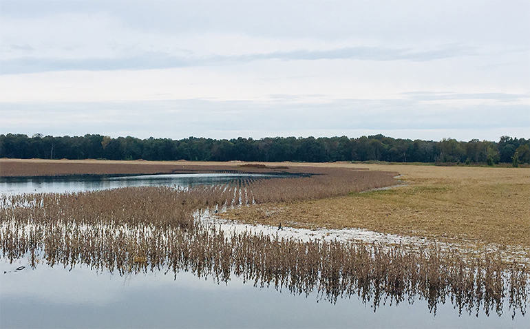 Flood Control and Insanity