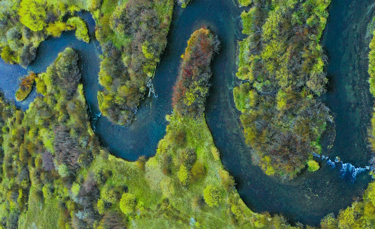 Clogged Arteries and Clogged Rivers